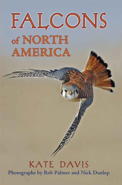 Falcons of North America, Kate Davis
