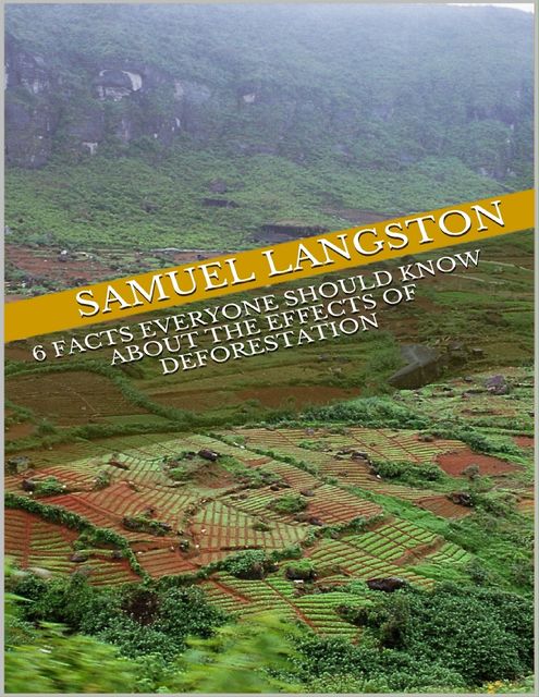 6 Facts Everyone Should Know About the Effects of Deforestation, Samuel Langston