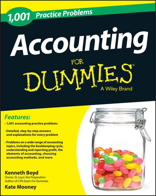 1,001 Accounting Practice Problems For Dummies, Kenneth Boyd, Kate Mooney