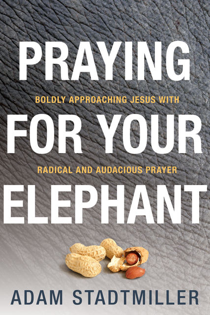 Praying for Your Elephant, Adam Stadtmiller