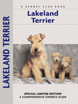 Lakeland Terrier, Patricia Peters