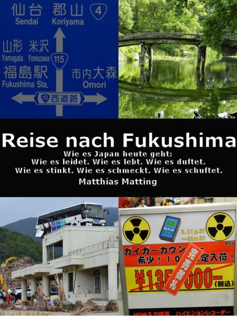 Reise nach Fukushima, Matthias Matting