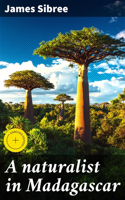 A naturalist in Madagascar, James Sibree