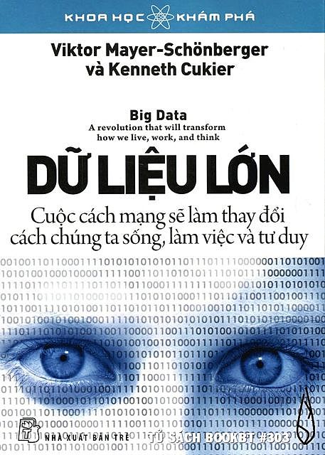 Dữ liệu lớn, Kenneth Cukier, Viktor Mayer-Schonberger