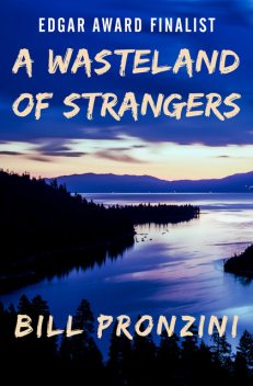 A Wasteland of Strangers, Bill Pronzini