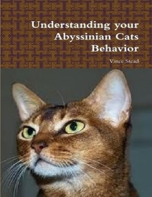 Understanding Your Maine Coon Cat's Behavior, Lori Cattleberg