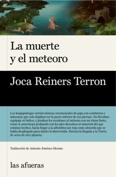 La muerte y el meteoro, Joca Reiners Terron