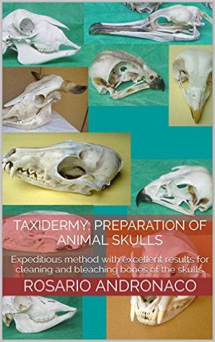 Taxidermy: Preparation Skulls Of Animals – Concepts and techniques for proper preservation of the skeletons, Rosario Andronaco