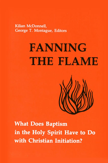 Fanning the Flame, Heart of the Church Consultation