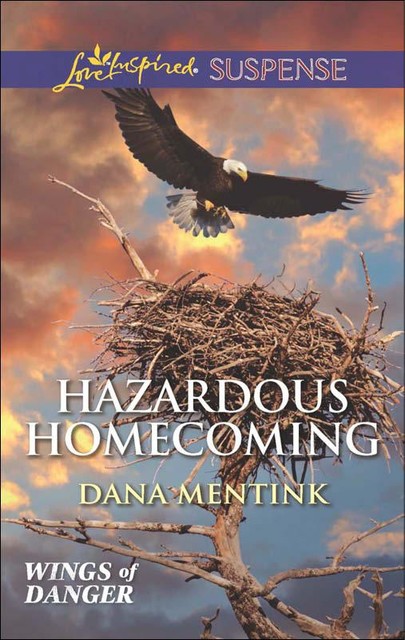 Hazardous Homecoming, Dana Mentink