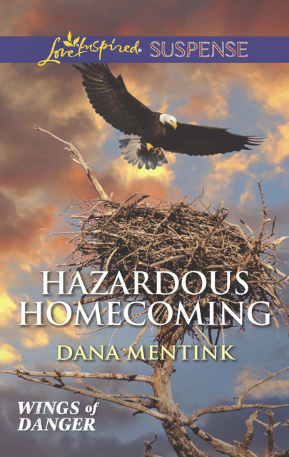 Hazardous Homecoming, Dana Mentink
