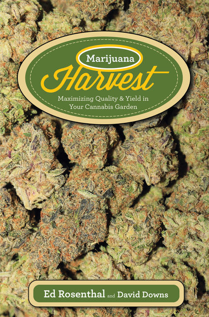 Marijuana Harvest, Ed Rosenthal