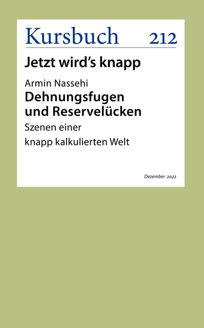Dehnungsfugen und Reservelücken, Armin Nassehi