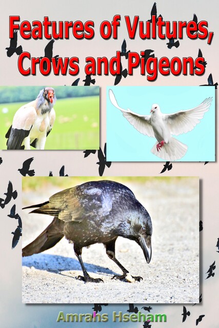 Features of Vultures, Crows and Pigeons, Hseham Amrahs