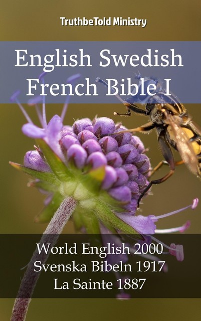 English Swedish French Bible I, Joern Andre Halseth