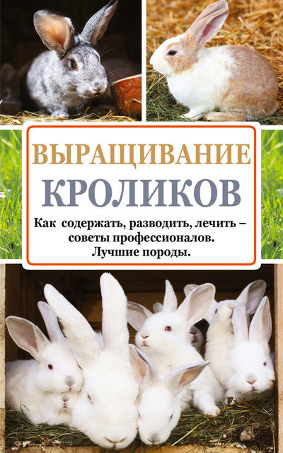Выращивание кроликов. Как содержать, разводить, лечить – советы профессионалов. Лучшие породы, Андрей Лапин