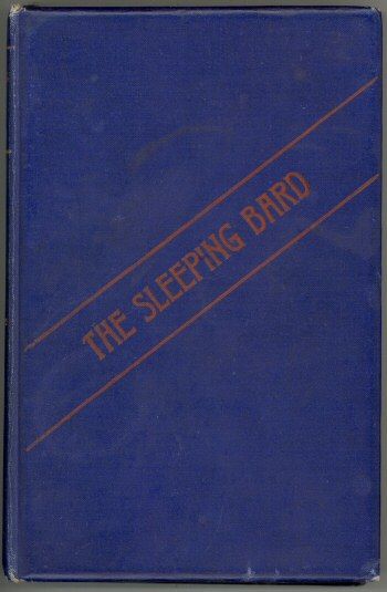 The Visions of the Sleeping Bard, Ellis Wynne
