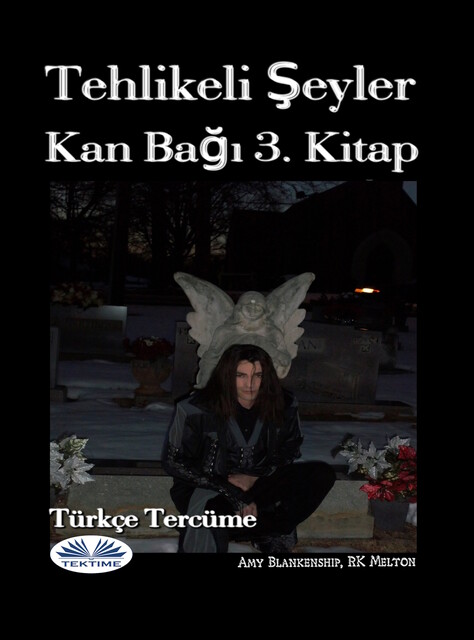 Tehlikeli Şeyler-Kan Bağı Kitap 3, Amy Blankenship
