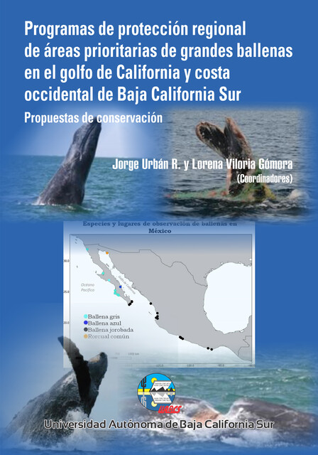 Programas de Protección Regional de Áreas Prioritarias de grandes ballenas en el golfo de California y costa occidental de Baja California Sur, Jorge Ramírez, Lorena Viloria Gómora, Estefany Manríquez Bucio, Mariana Hidalgo Reza, María Esther Jiménez López, Pamela Martínez Laustalot