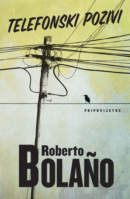Telefonski pozivi, Roberto Bolaño