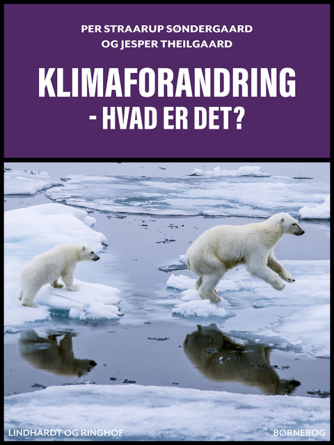 Klimaforandring – hvad er det, Jesper Theilgaard, Per Straarup Søndergaard