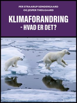Klimaforandring – hvad er det, Jesper Theilgaard, Per Straarup Søndergaard