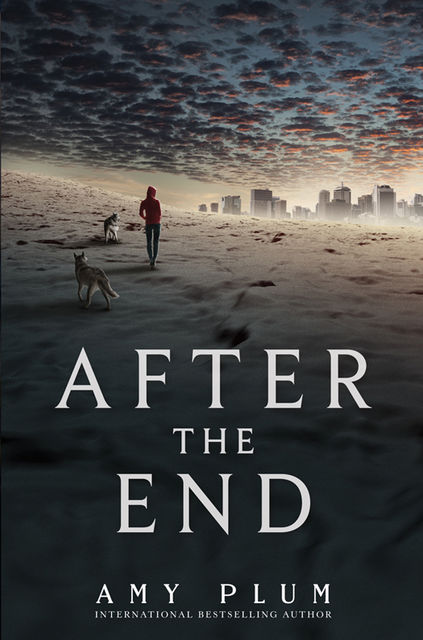 After the End, Amy Plum