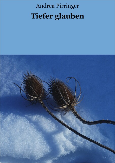 Tiefer glauben, Andrea Pirringer