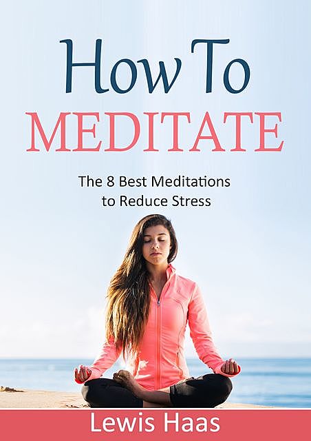 How to Meditate, Lewis Haas
