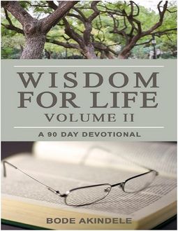 Wisdom for Life Vol. 2, Bode Akindele