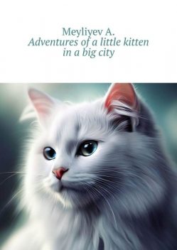 Adventures of a little kitten in a big city, A. Meyliyev