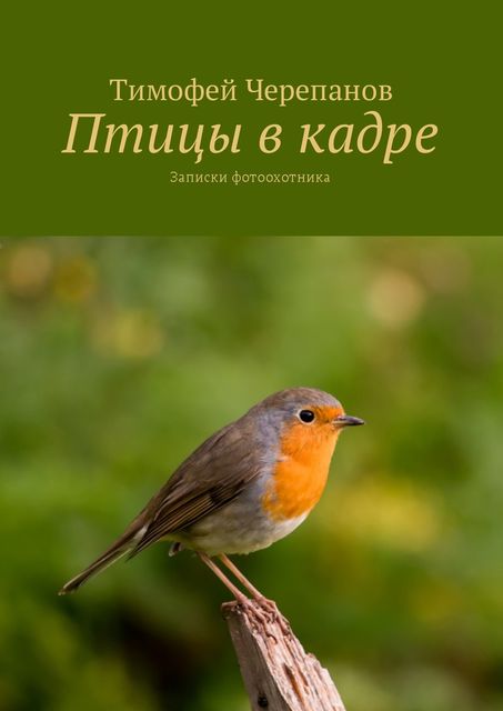 Птицы в кадре, Тимофей Черепанов