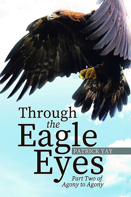 Through The Eagles Eyes, Patrick M Yay