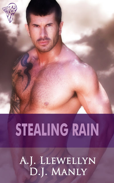 Stealing Rain, D.J.Manly, A.J.Llewellyn