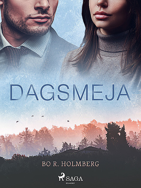 Dagsmeja, Bo R. Holmberg