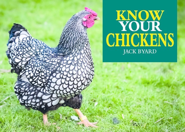 Know Your Chickens, Jack Byard