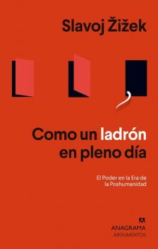 Como un ladrón en pleno día, Slavoj Zizek