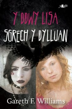 Y Ddwy Lisa – Sgrech y Dylluan, Gareth Williams