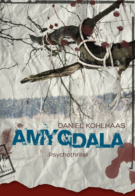 Amygdala, Daniel Kohlhaas