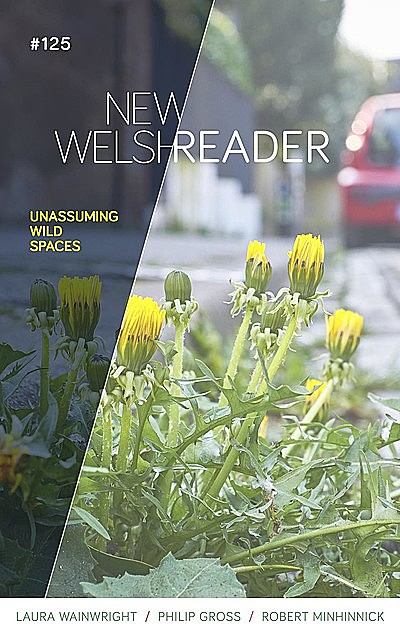 New Welsh Reader Winter 2020, Philip Gross, Laura Wainwright