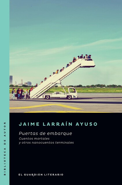 Puertas de embarque, Jaime Larraín Ayuso