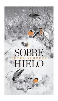 Sobre hielo, Peter Kurzeck