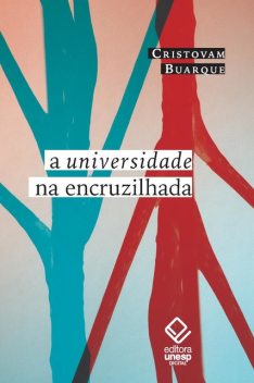 A universidade na encruzilhada, Cristovam Buarque