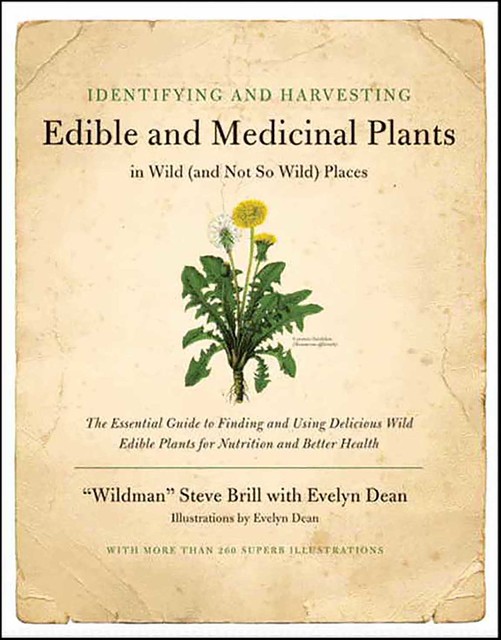 Identifying & Harvesting Edible and Medicinal Plants, Evelyn Dean, Steve Brill