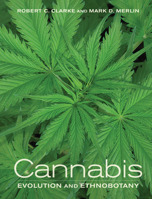 Cannabis, Robert Clarke, Mark Merlin