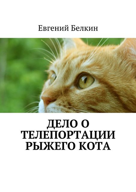 Дело о телепортации рыжего кота, Евгений Белкин