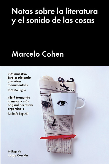 Notas sobre la literatura y el sonido de las cosas, Marcelo Cohen