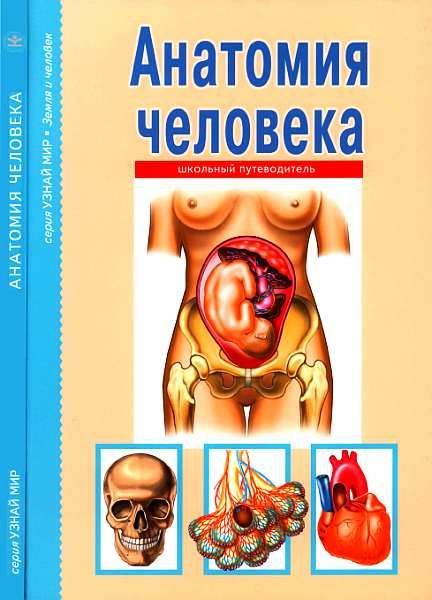 Анатомия человека, Сергей Афонькин