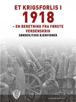 Et krigsforlis i 1918, Sønderjyske Øjenvidner