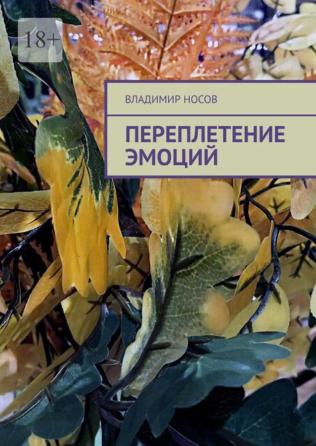 Переплетение эмоций, Владимир Носов